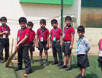 Cricket