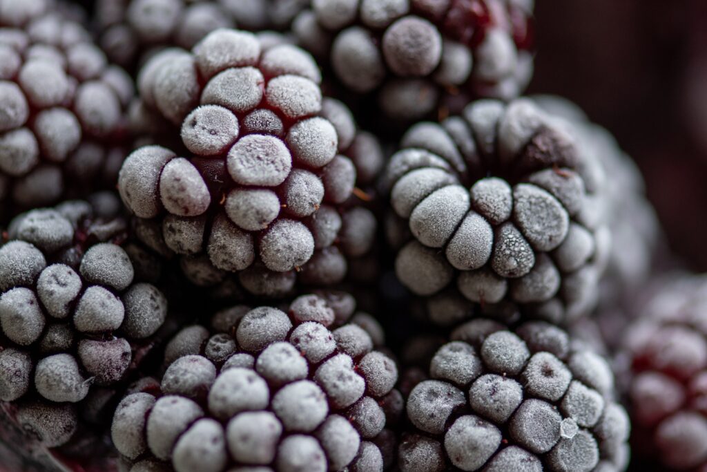 Frozen Grapes 