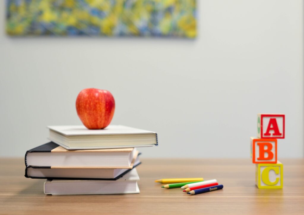 What is Primary Education?
