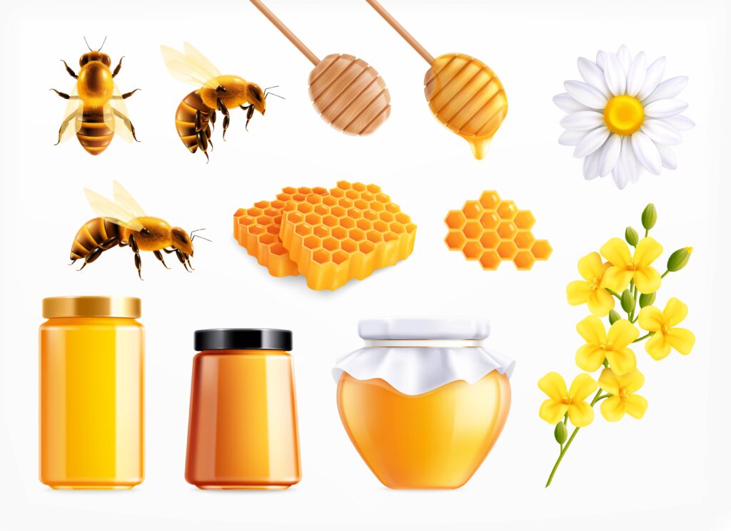 2101.i309.007.P.m004.c33.honey Realistic Set 1