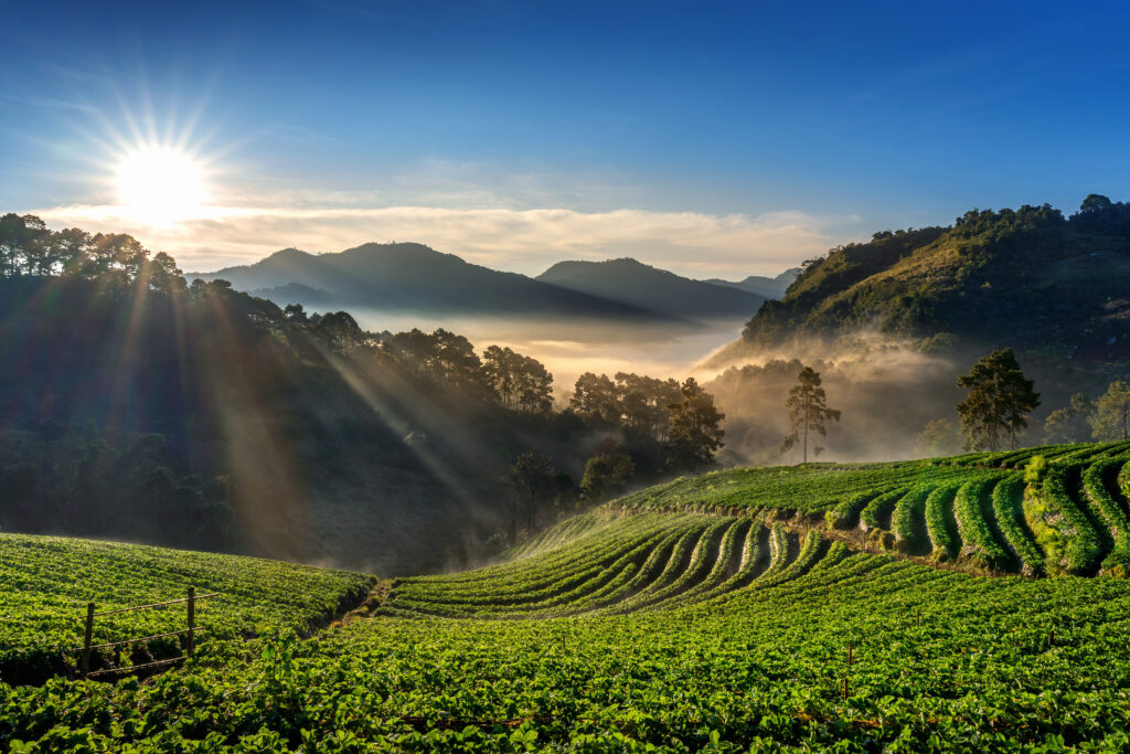 Darjeeling, the Queen of the Hills
