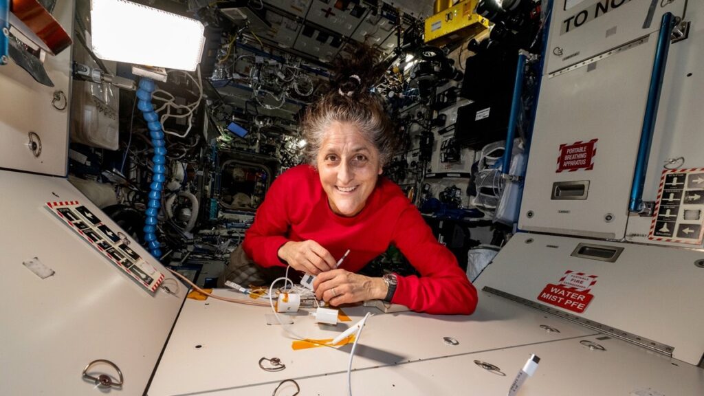 astronaut sunita