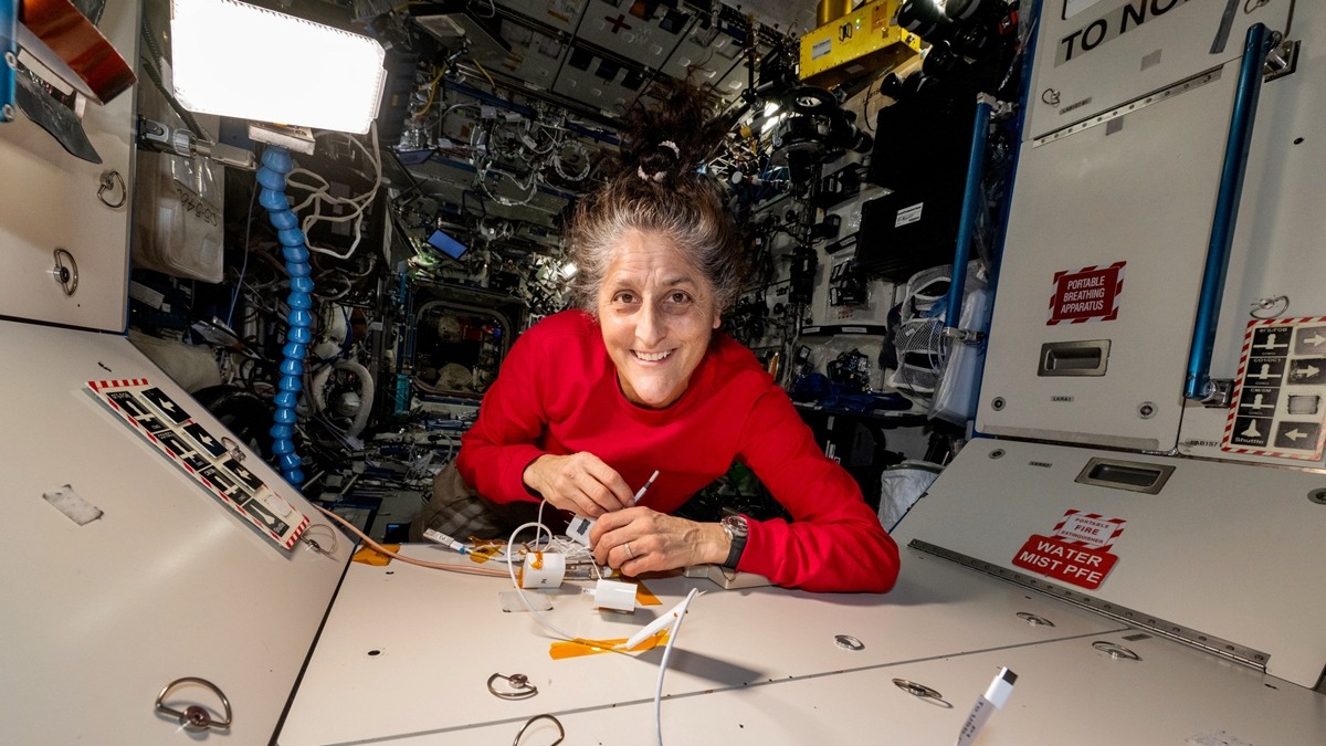 astronaut sunita
